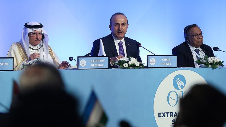 Islamic diplomats in Istanbul ahead of Palestine summit