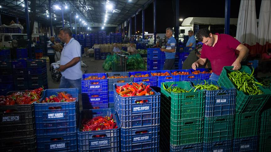 Рынок Антальи - крупнейший поставщик сельхозпродукции в регионе 