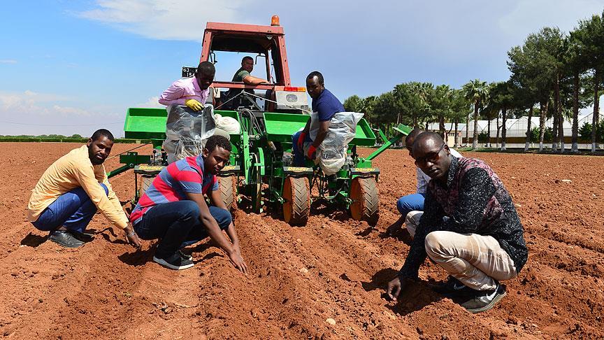 Somalili mühendisler modern tarımı Türkiye'de öğreniyor
