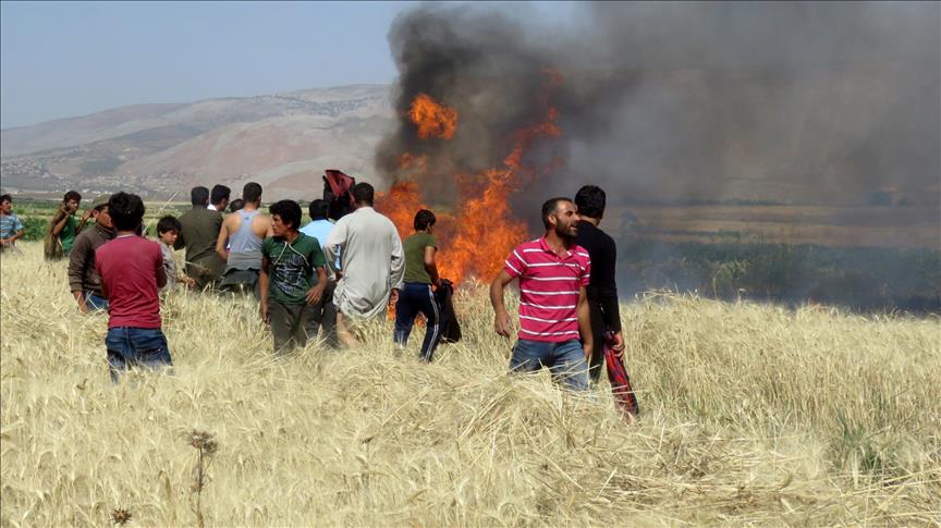Силы режима Асада поджигают посевы в Идлибе и Хаме