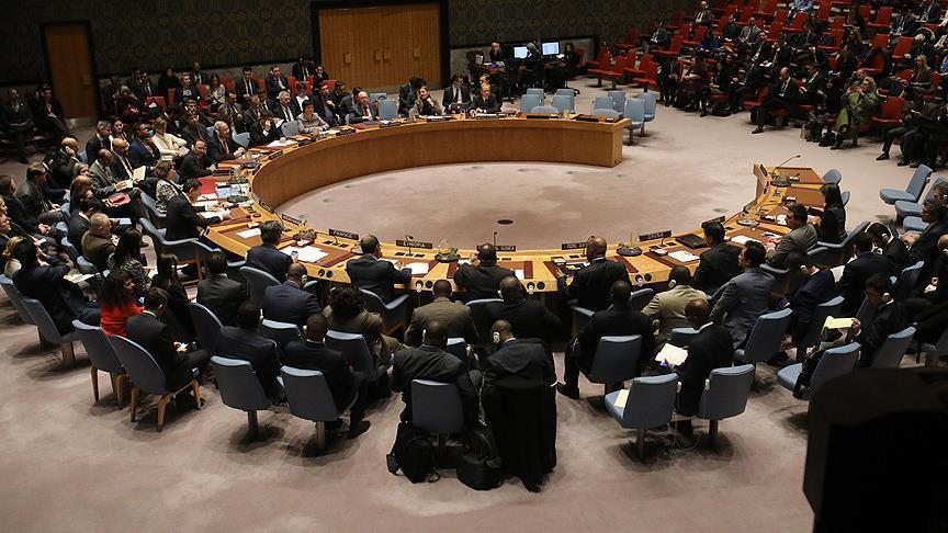 Турция раскритиковала СБ ООН за позицию по Палестине и Сирии