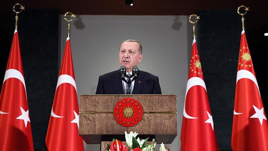 Turkey has means to curtail currency shifts: President