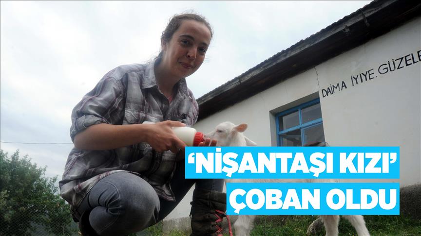 İki dil bilen 'Nişantaşı kızı' köyde keçi güdüyor