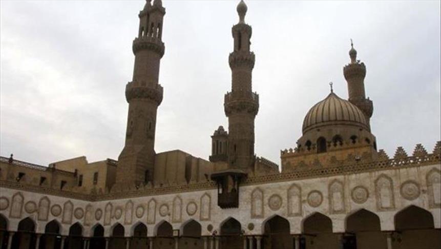 مصر.. إحباط محاولة سرقة سياج حديدي لقلعة "صلاح الدين" الأثرية