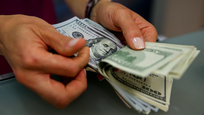 Turki sebut volatilitas dolar 'tidak wajar'