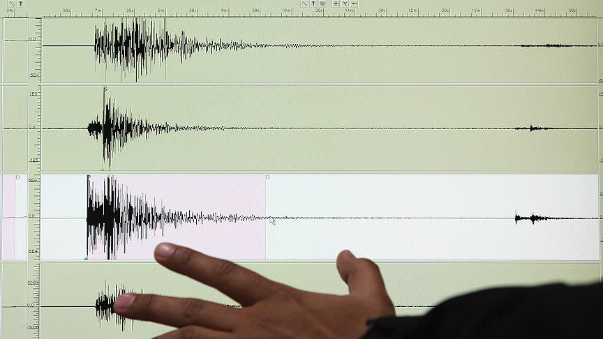 Fiji'de orta şiddette deprem