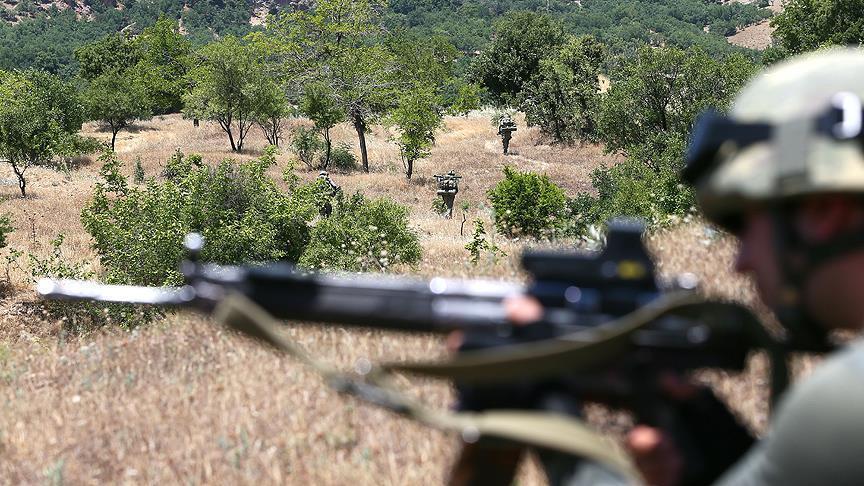 Turkey: 42 PKK terrorists neutralized over last week