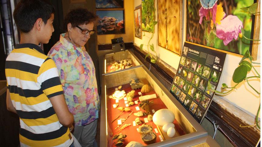 Köpek balığı yumurtası ve meteor taşı bu müzede