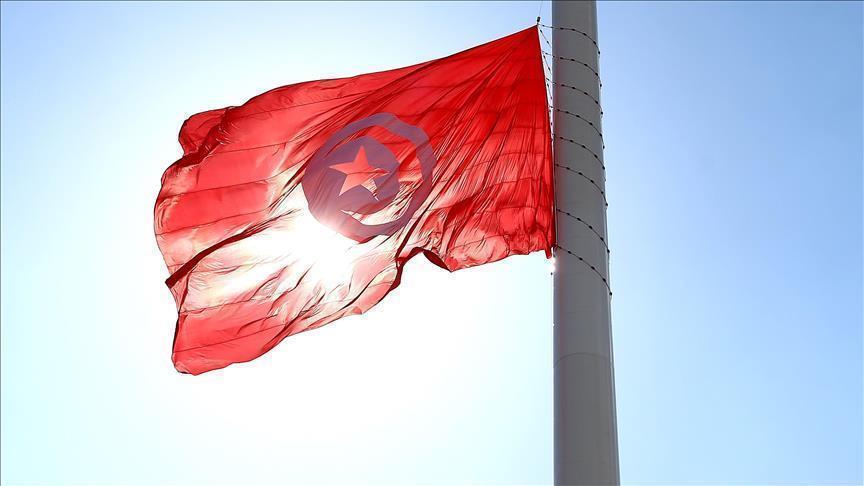 قيادي في "نداء تونس": عدم التوافق على "قرطاج 2" يضع البلاد على سكة المجهول (حوار)