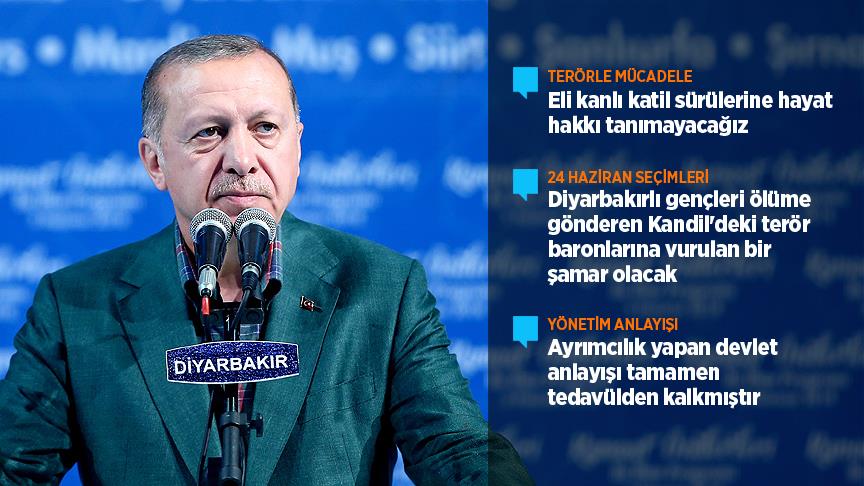 Cumhurbaşkanı Erdoğan: Eli kanlı katil sürülerine hayat hakkı tanımayacağız