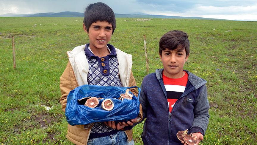 Yağışlar mantara bereket, iftar sofrasına lezzet getirdi