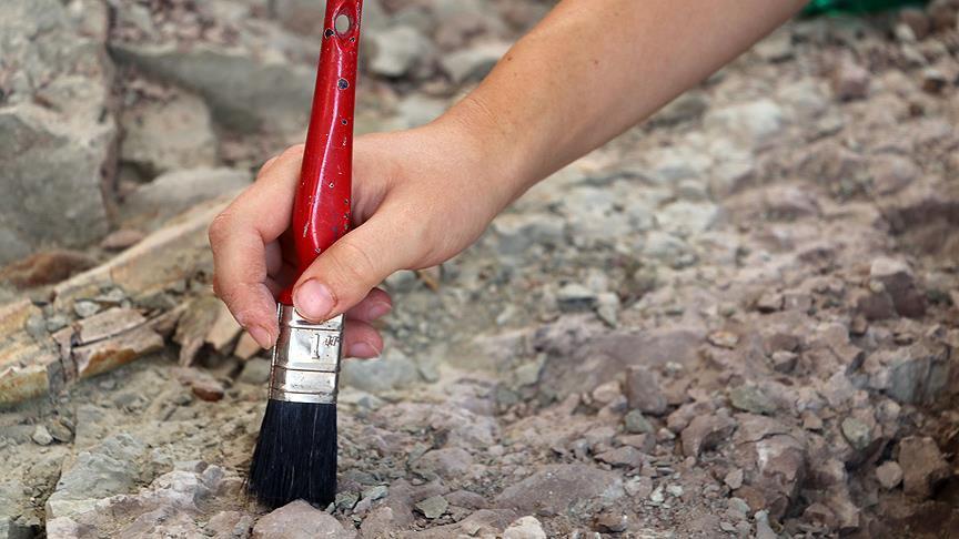 US, Chinese scientists find oldest animal tracks