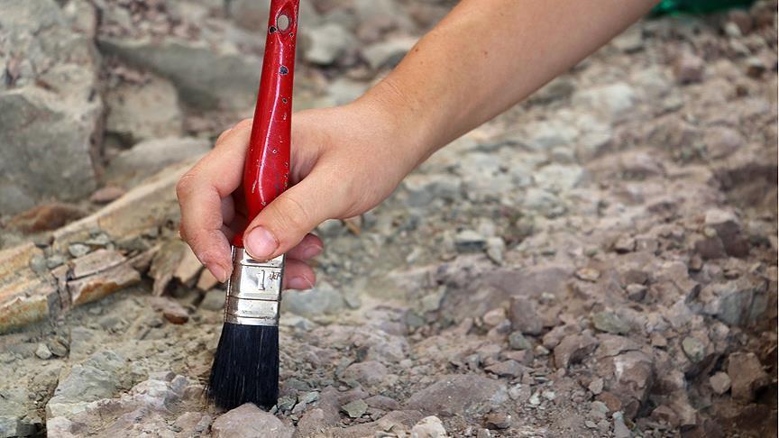 En México fue descubierta una nueva especie de dinosaurio