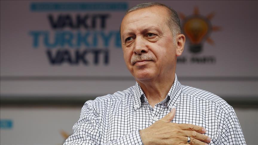 Erdogan berjanji revisi UU perlindungan hewan setelah Pemilu