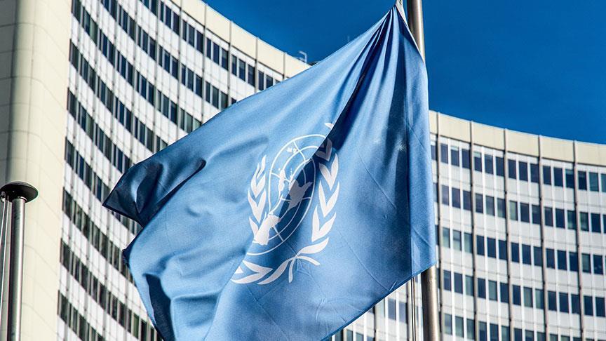 BM Özel Raportörü Alston: IMF'nin beyni büyük ama vicdanı ufacık
