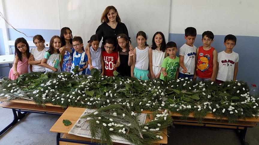 Yaz tatilinde öğretmenleriyle ipek böceği yetiştiriyorlar