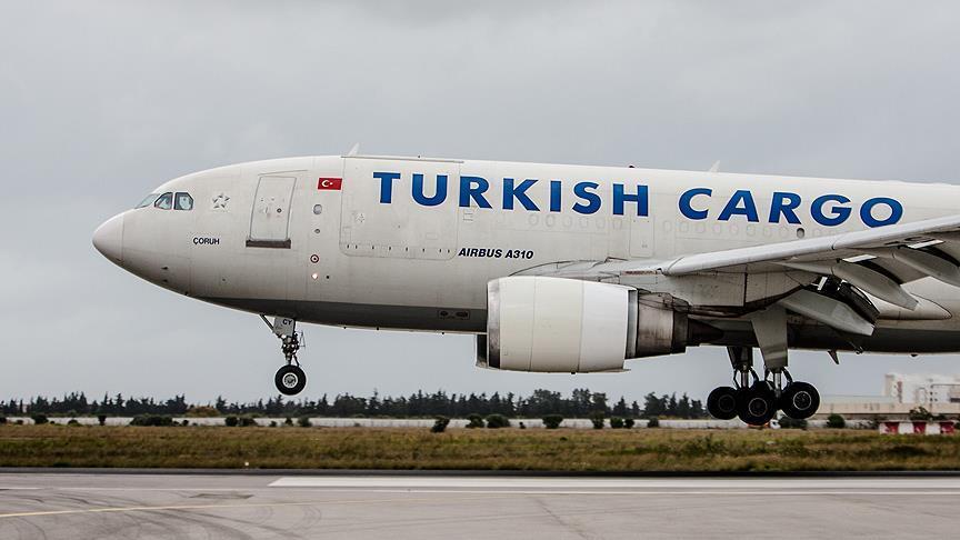 زرافه های آفریقا؛ مسافران ترکیش ایرلانز به مقصد تهران