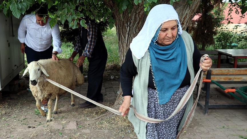 Bayram ikramiyesiyle aldığı kurbanı Erdoğan kazanınca kesti