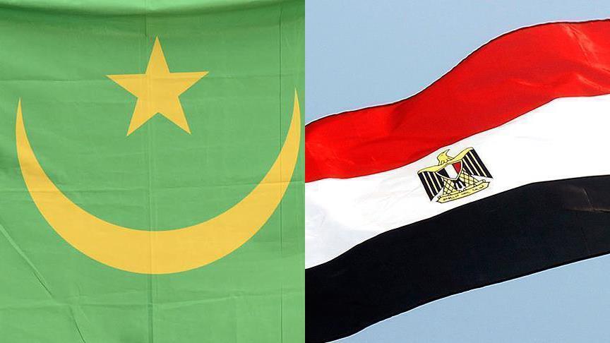 Egypt, Mauritania FMs talk Palestine file in Nouakchott