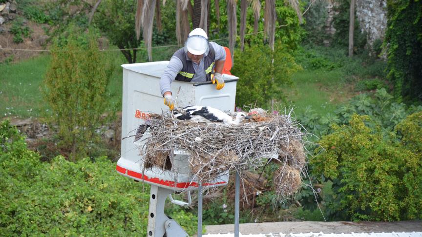Yavru leyleğin ayağına takılan poşet çıkarıldı