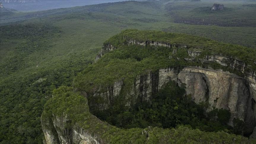 Unesco Declaró Patrimonio Mundial A La Serranía Del Chiribiquete