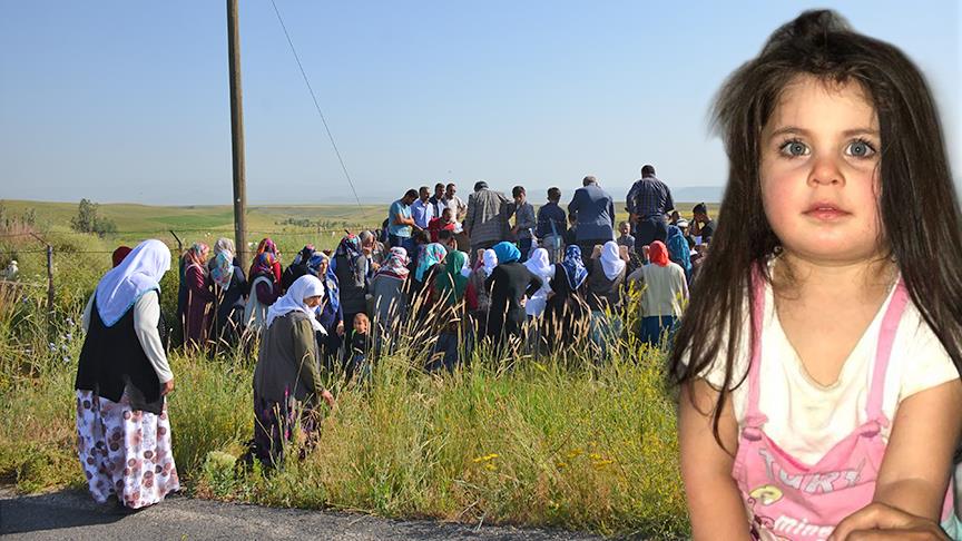 Ağrı Valisinden 'Leyla' açıklaması: 8-10 gün aç bırakıldığı için ölmüş