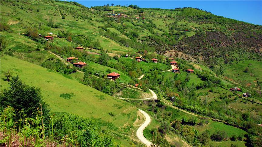 Ekoturizm merkezi Yenice ormanları havadan görüntülendi