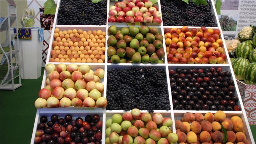 Gaza imposes retaliatory ban on import of Israeli fruit