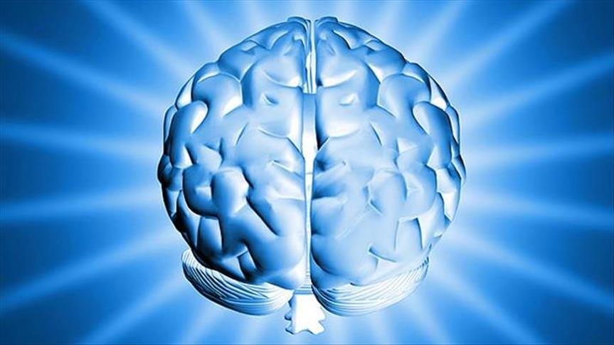 Anatomia e trurit të njerëzve është e ndryshme ashtu si gjurmet e gishtërinjve