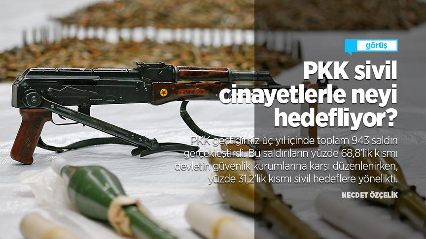 PKK sivil cinayetlerle neyi hedefliyor?