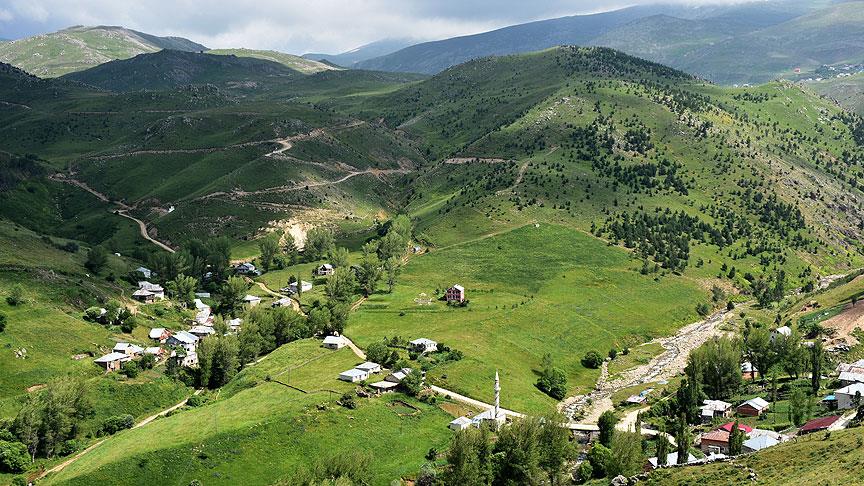 Yeşilin yurdu Gümüşhane yaylaları ziyaretçilerini bekliyor