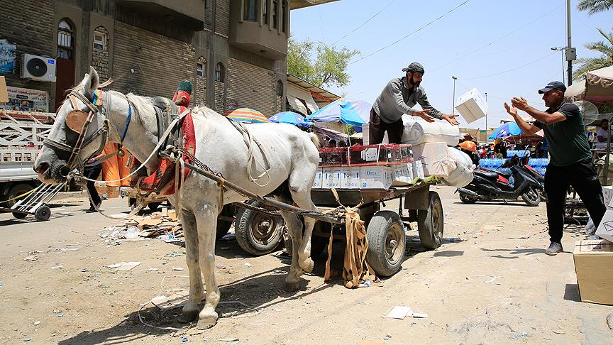 'Şiddet yorgunu Bağdat'ta at arabalarıyla taşımacılık sürüyor'