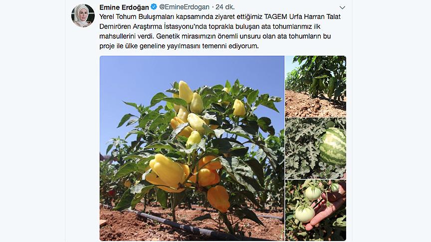Emine Erdoğan'dan 'yerel tohuma' destek