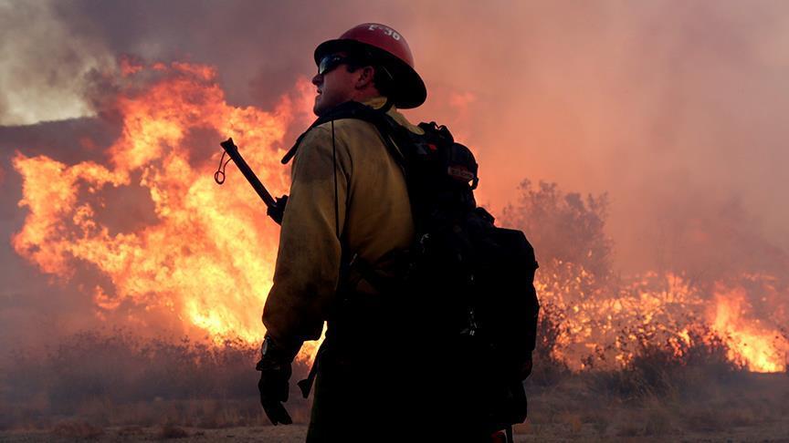 САД: Во пожар во Калифорнија смртно настрада едно лице