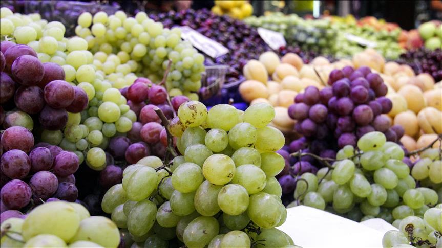 Более 20% турецкого экспорта овощей и фруктов пришлось на РФ