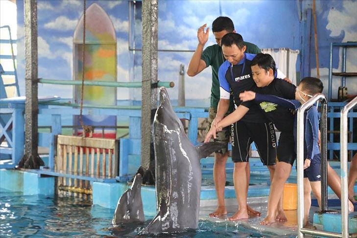 Индонезија: Терапија со делфини во лекувањето на децата со аутизам 