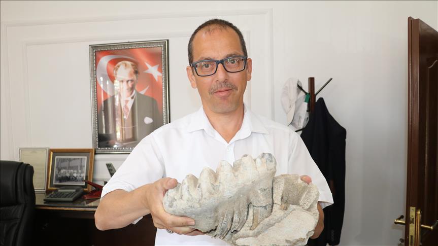 Granjero encuentra diente de mamut antiguo en el centro de Turquía