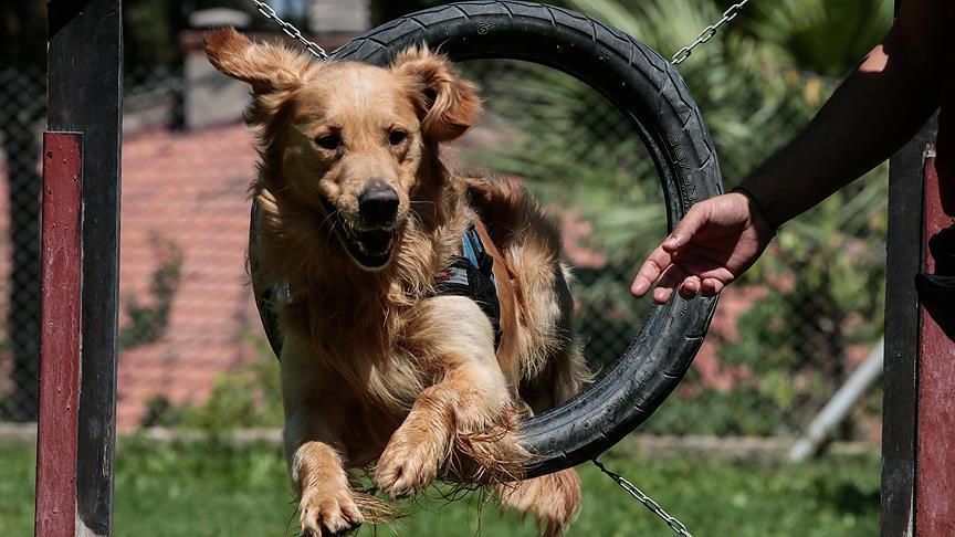 Emniyetin Hassas Burunlari Izmir De Egitiliyor