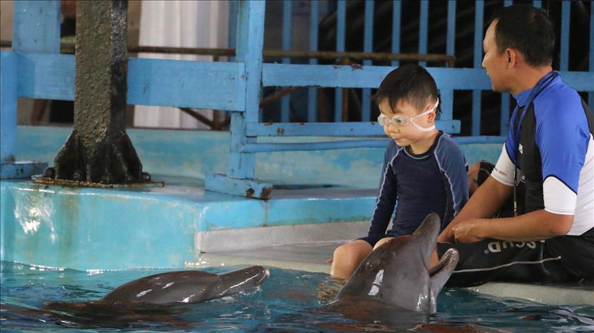 Indonésie: Traiter l’autisme en nageant avec les dauphins 