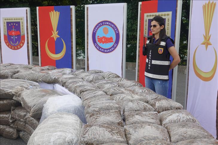 Turkish gendarmerie seizes 800 kg of skunk weed