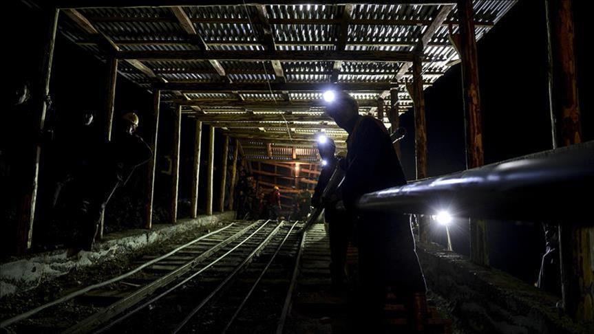 South Korea cracks down on illegal North Korean coal