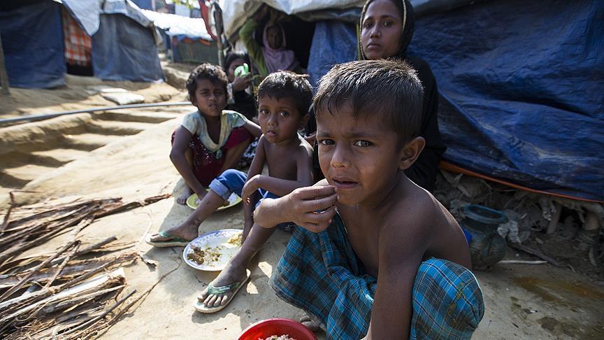 Myanmar officials planned genocide of Rohingya: NGO
