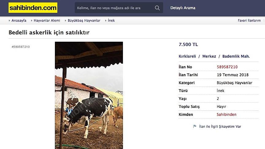 Bedelli askerlik inek sattırıyor