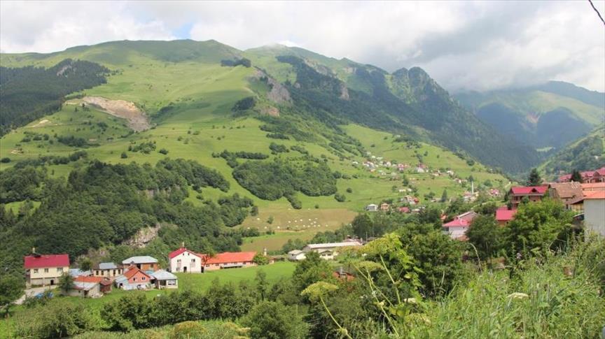 "غوزيل يايلا".. وجهة جديدة للسياح العرب في طرابزون (تقرير)