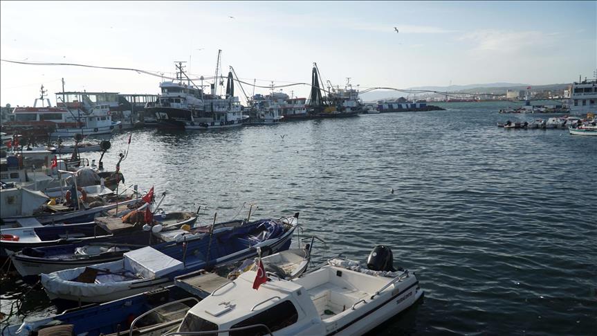 صيادون على سواحل إسطنبول.. تعددت الأهداف والرزق واحد (تقرير)