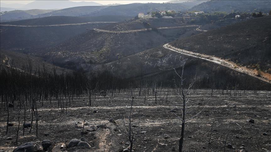 Número de muertos por incendio forestal en Grecia aumenta a 81