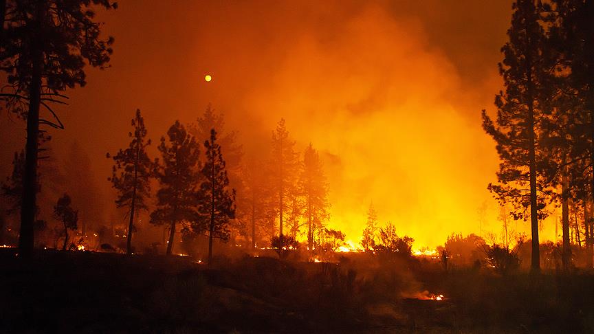 California'daki yangınlar 50 bin kişiyi evinden etti