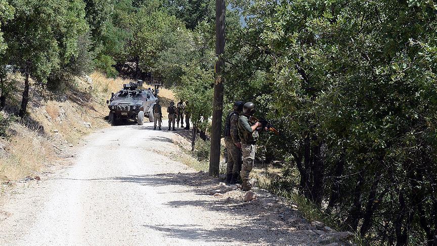 10 PKK terrorists neutralized in eastern Turkey