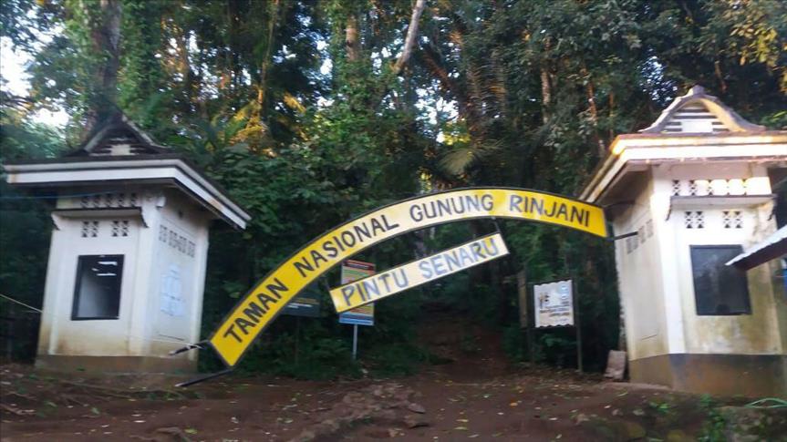 BNPB prediksi 135 orang WNA masih terjebak di Gunung Rinjani