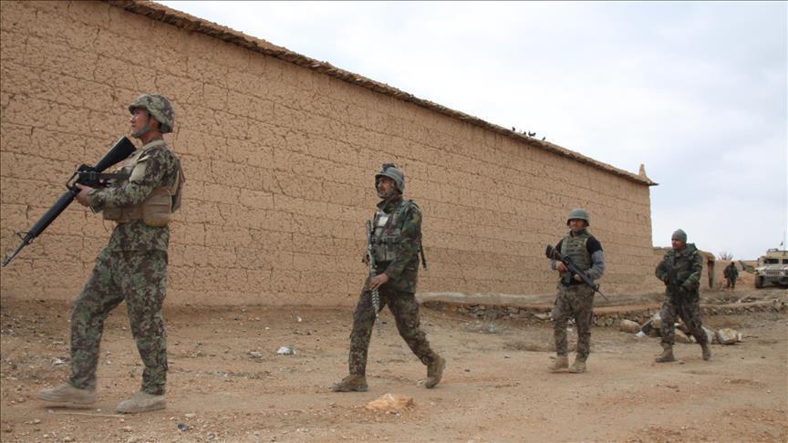 Nearly 200 Daesh members surrender to Afghan forces